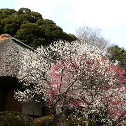 松連庵